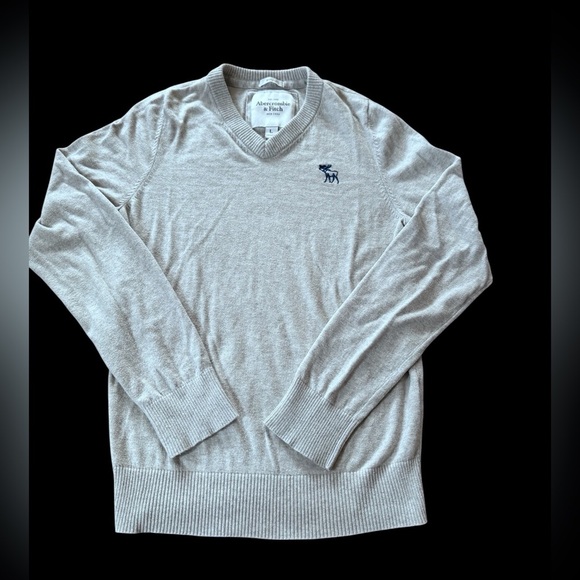 Abercrombie & Fitch Muscle Fit V-neck Sweater Men Size Large - Picture 1 of 6